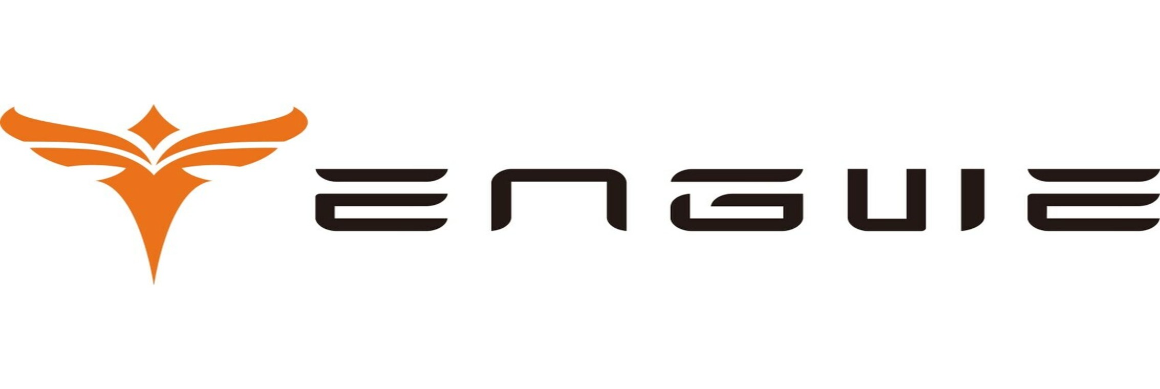 Engwe DE Logo